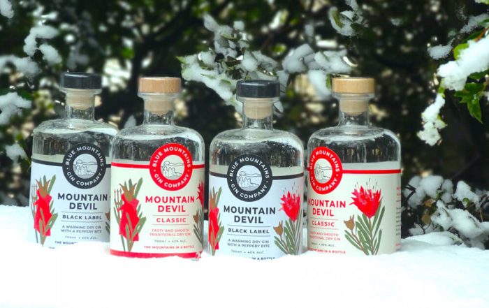 BlueMountains Gin Company Real Cool Gins Post