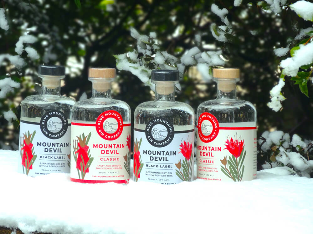 BlueMountains Gin Company Real Cool Gins Post BlueMountains Gin Company Real Cool Gins Post