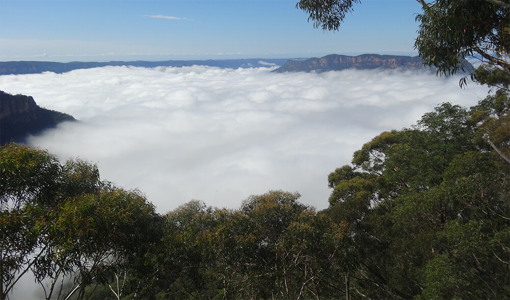 Cloud fills the Jamison Valley About the Mountains