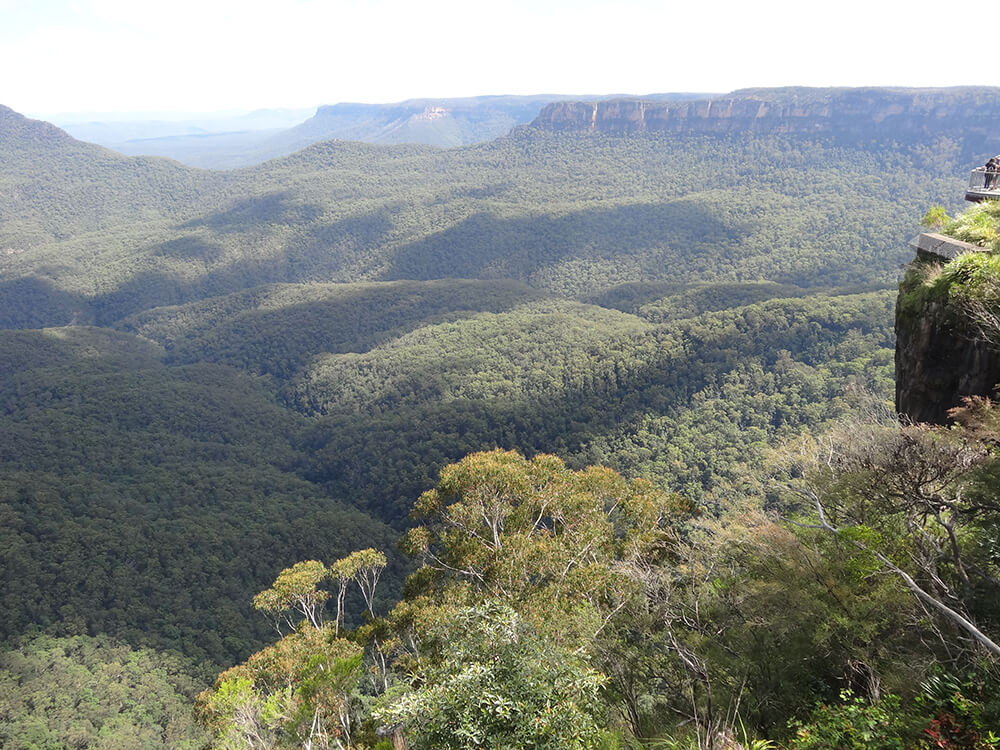 Narrow Neck Ridge (right) above the Jamison Valley About the Mountains