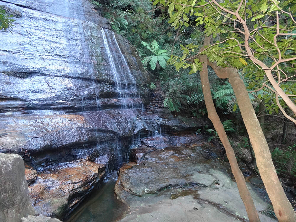 Fern grotto around a cascade About the Mountains