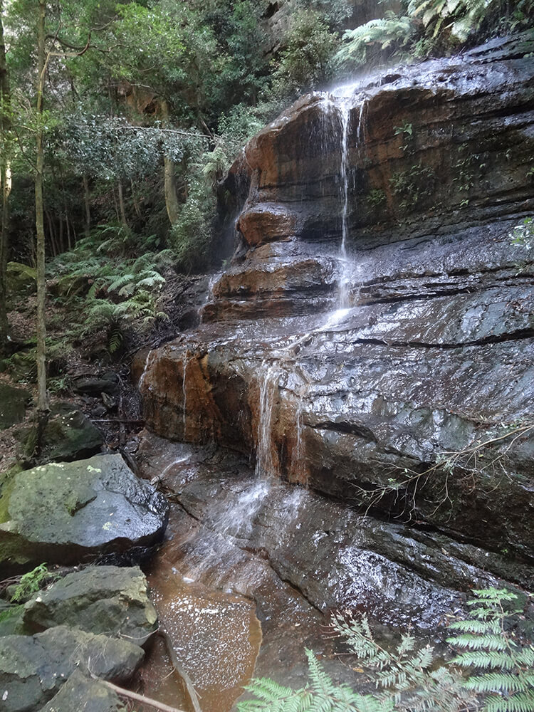 Small waterfall amidst rainforest About the Mountains