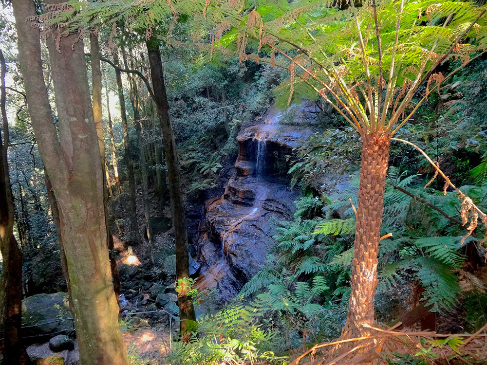 Blue Mountains magnificent wilderness Blue Mountains magnificent wilderness