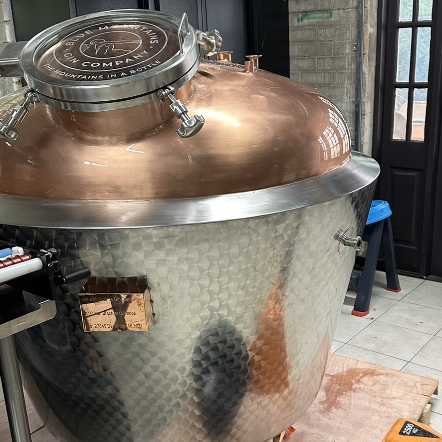 F7380732-BE3A-4CD2-A90F-2E668C8241B3_1_105_c