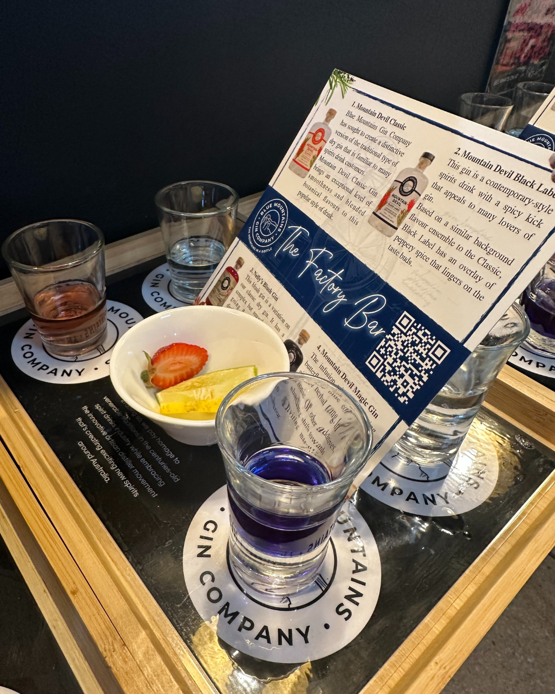 Blue Mountains Gin Company - Gin Flight